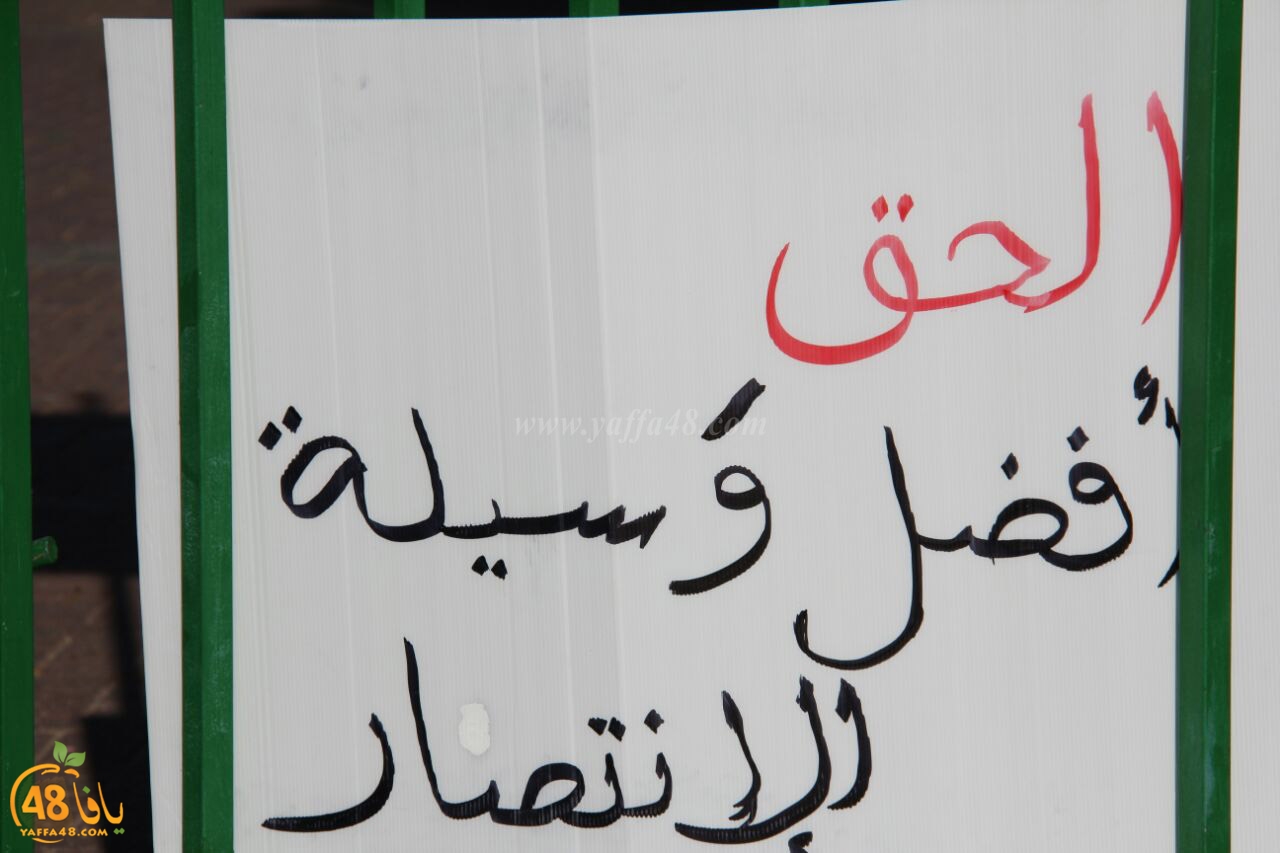 idrab shamela (5).jpg